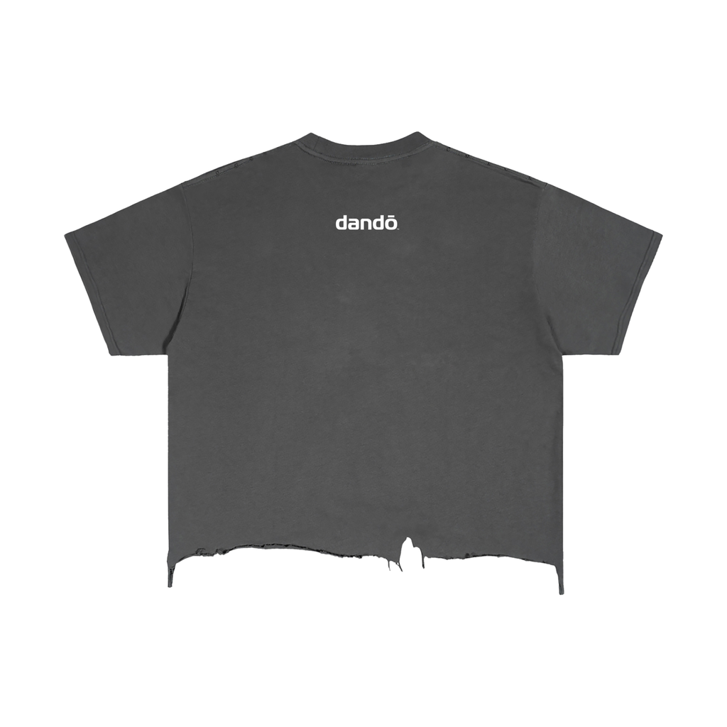 Dandō Anti Palace Skate Shirt