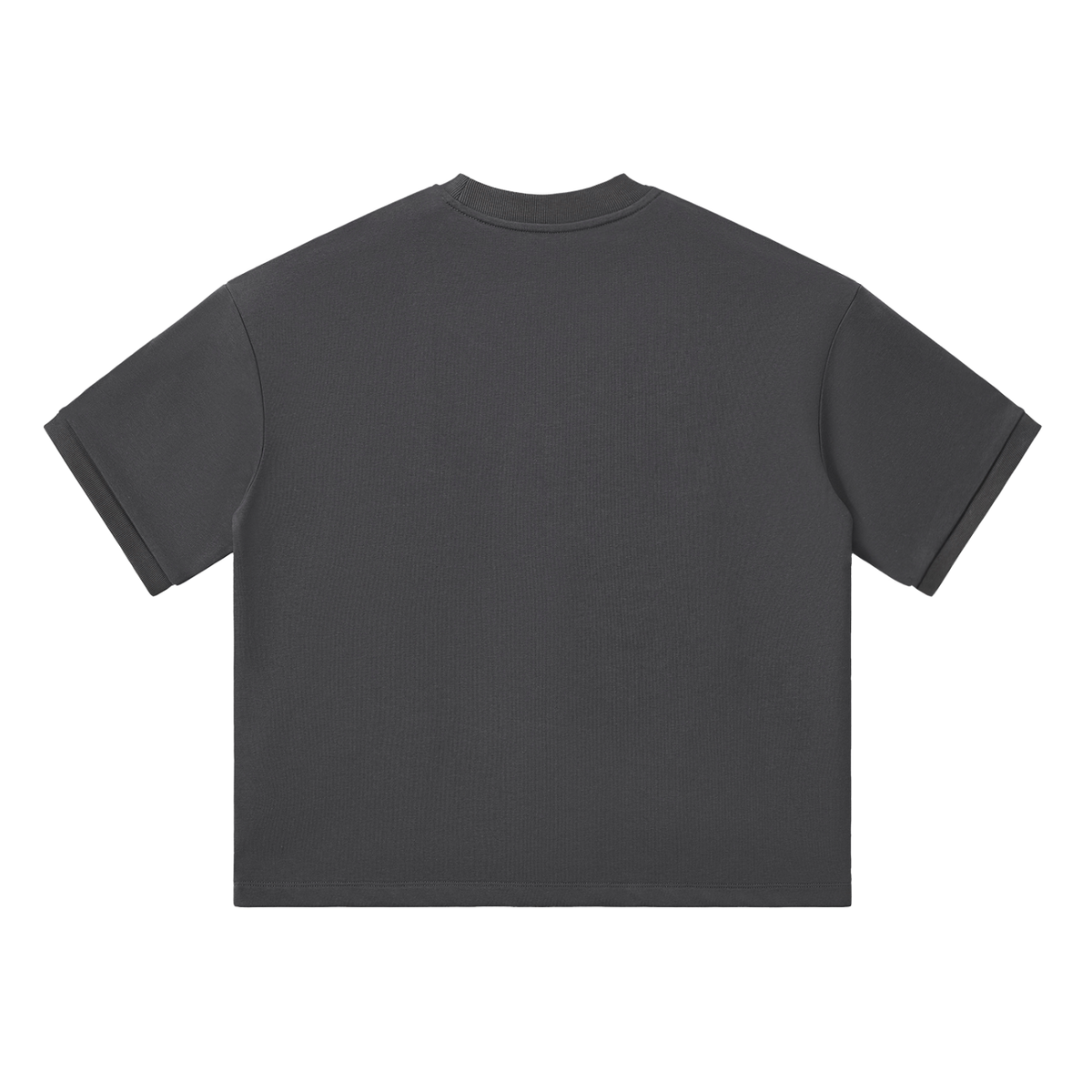 Dandō Samurai Versus Tiger Shirt